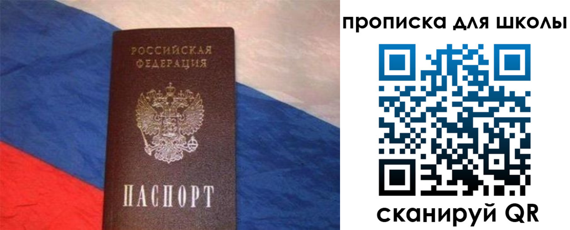прописка поиск в Борзе